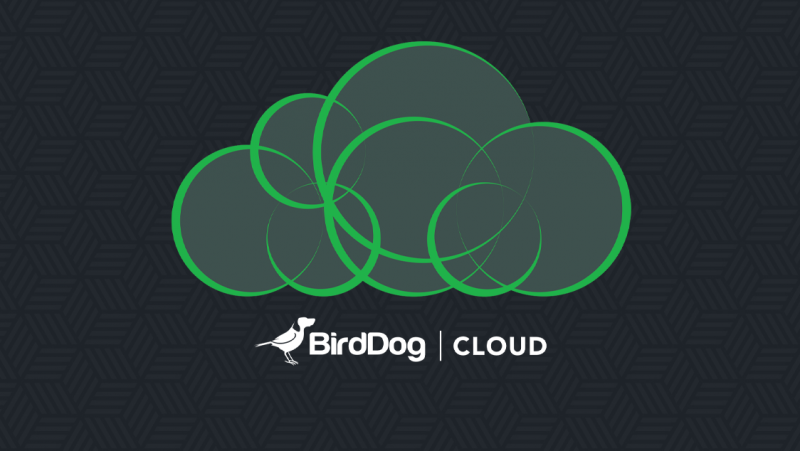 Birddog CLoud