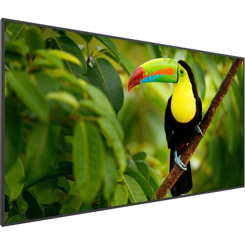 Pantalla LED comercial UHD 4K de 43 " clase 4K Planar Systems Simplicity