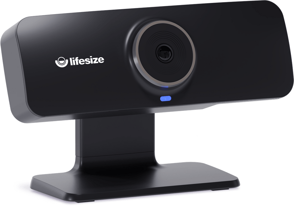 Lifesize Icon 300